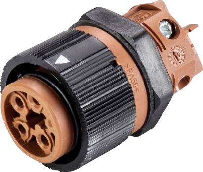 Wieland Electric 46.051.5050.4 Bullet connector Socket, built-in Total number of pins: 5 Series (round connectors): RST® MINI 1 pc(s)