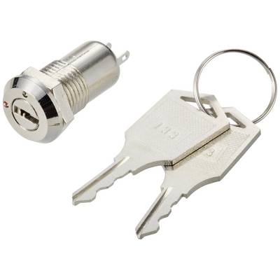 A metal lock cylinder and two matching keys on a keyring.