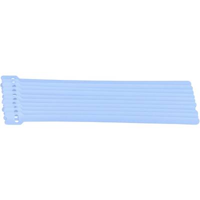 Eight blue cable ties laid side by side on a white background.