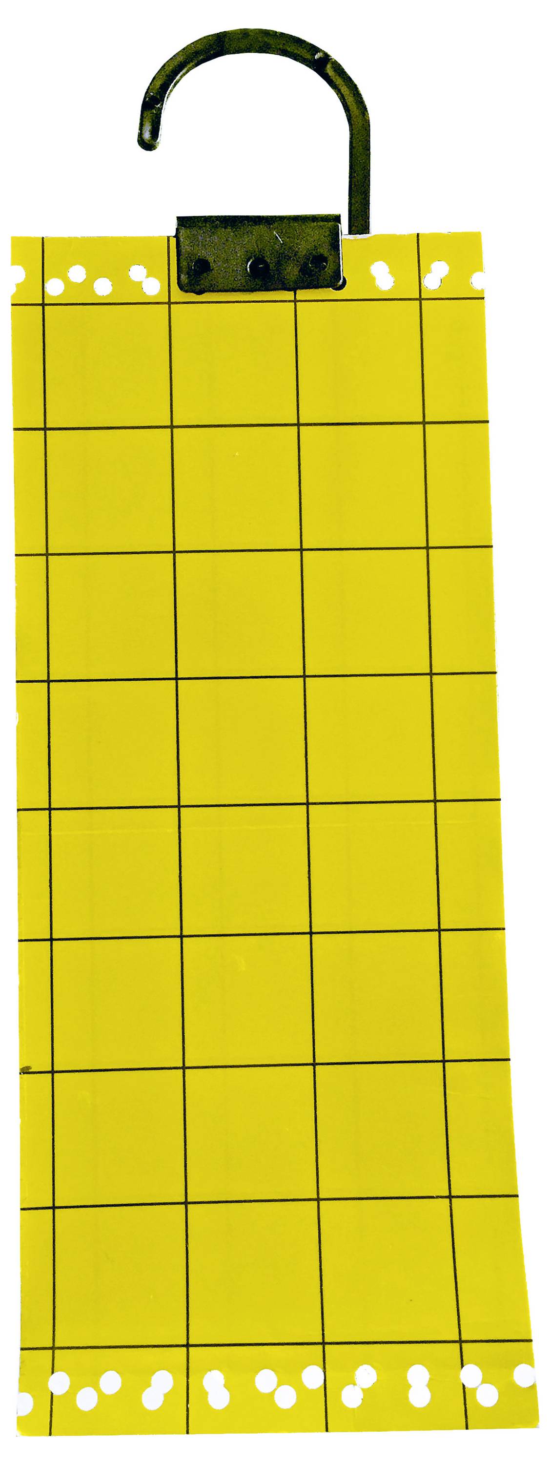 Swissinno NaturalControl 1 249 235 Sticky panel Adhesive film, Pheromone (L x W) 240 mm x 100 mm 5 pc(s)-3