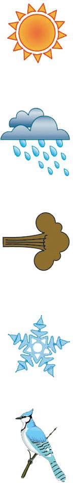 Sun, rain cloud, tree, snowflake and blue bird, symbolising different weather conditions and the seasons.