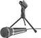 A black microphone sits on its three-legged stand. It appears ready for a recording or presentation.