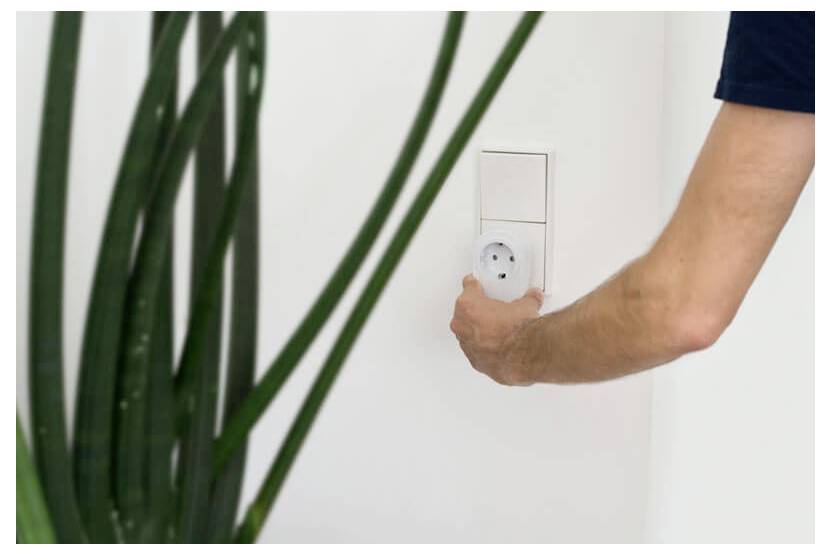 A person plugs a device into a wall outlet beside a leafy houseplant.