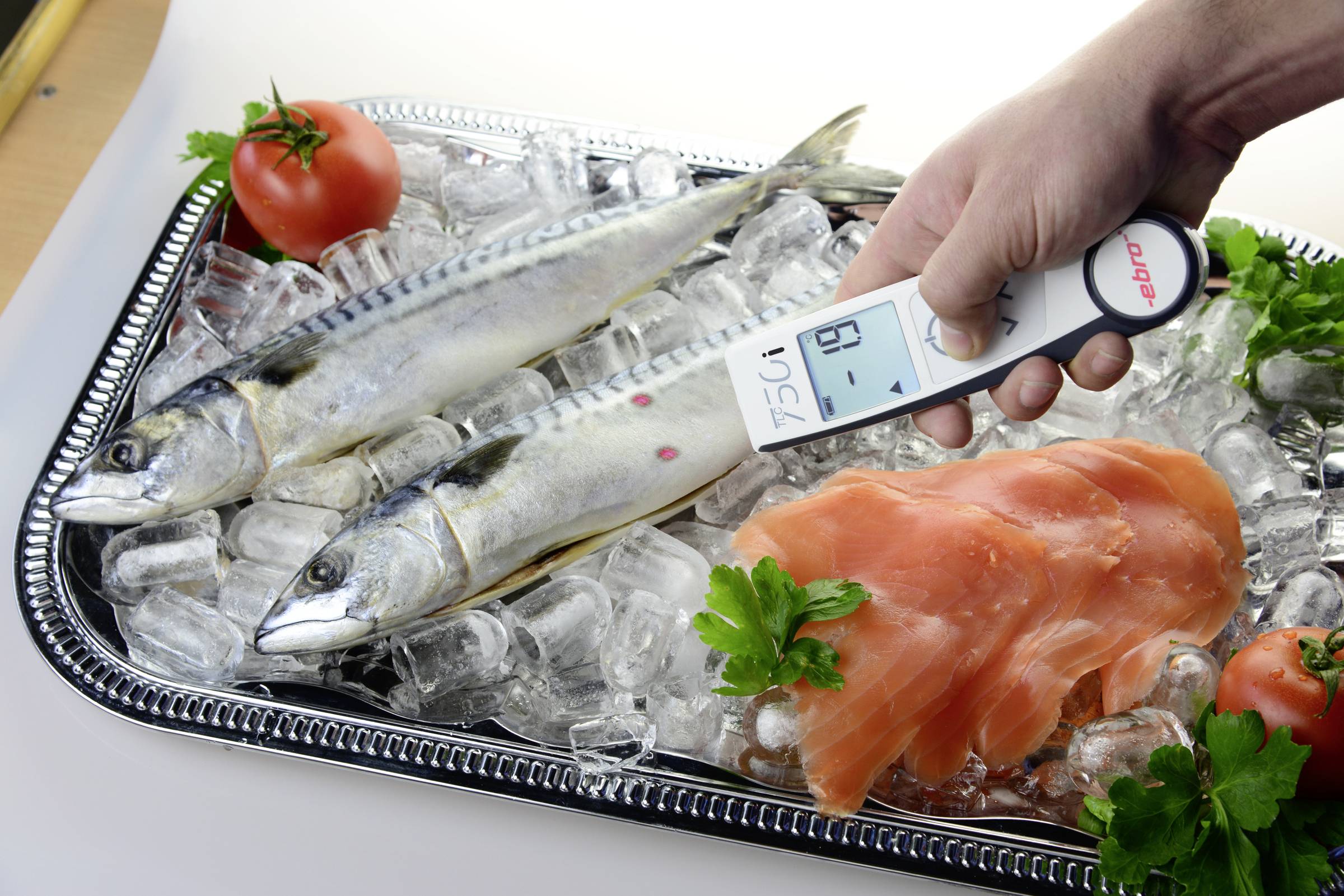 A hand holds a thermometer over two fish and salmon on ice. The number '6.9' is displayed. Fresh food is being checked.