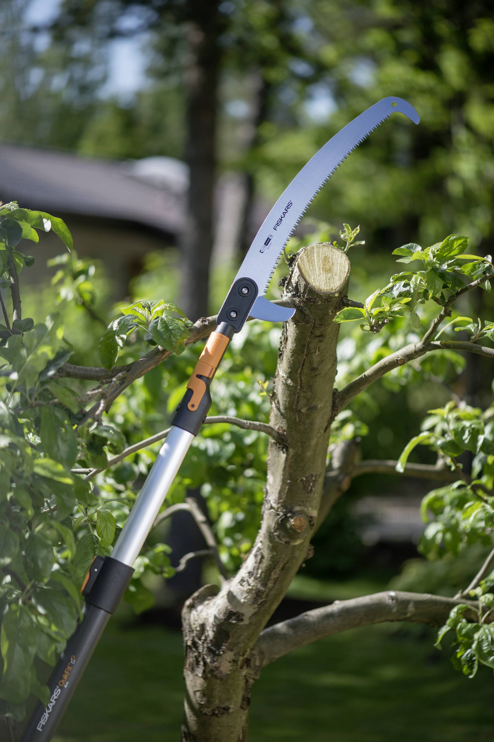 Garden tree with a sawn-off branch. A saw with a long handle lies on the branch. The background shows blurred trees and buildings.