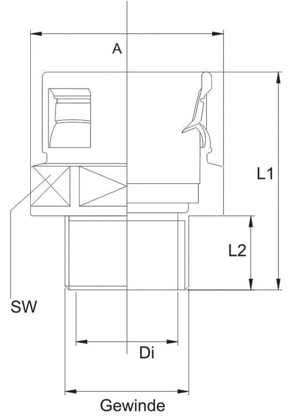 Technical drawing of a threaded screw, dimensions A, L1, L2 are specified, parts such as 'SW' and 'Di' are highlighted.
