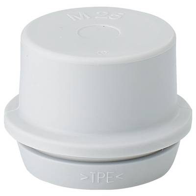 White plastic end cap with 'M25' inscription, cylindrical in shape and designed for covering openings or connections.