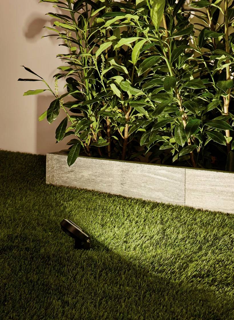 A spotlight illuminates a lush hedge in front of a stone wall, creating a cosy garden atmosphere.