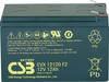 CSB Battery EVX 12120 EVX12120F2 VRLA 12 V 12 Ah AGM (W x H x D) 151 x 100 x 98 mm 6.35 mm blade terminal High number of charge cycles, Maintenance-free, Low self-discharge levels