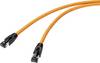 Renkforce RF-4769898 RJ45 Patch cable CAT 8.1 S/FTP 0.30 m Orange gold plated connectors, incl. detent 1 pc(s)