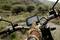 A person wearing leather gloves is tapping on a navigation screen on a motorcycle situated in a rural, wooded setting.