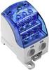 Weidmüller 2519480000 Distribution block Screws Grey, Blue 1 pc(s)