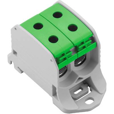 Two-pole green plastic terminal block with two pole openings, suitable for electrical connections on DIN rails.