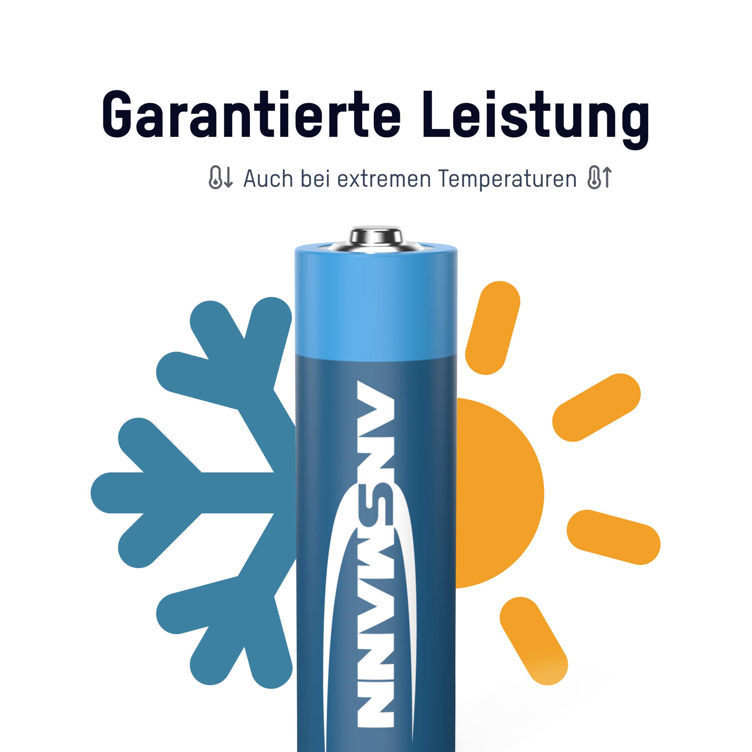 Battery with blue casing, with snowflake and sun symbols beside it. Text above: 'Guaranteed performance in extreme temperatures'.