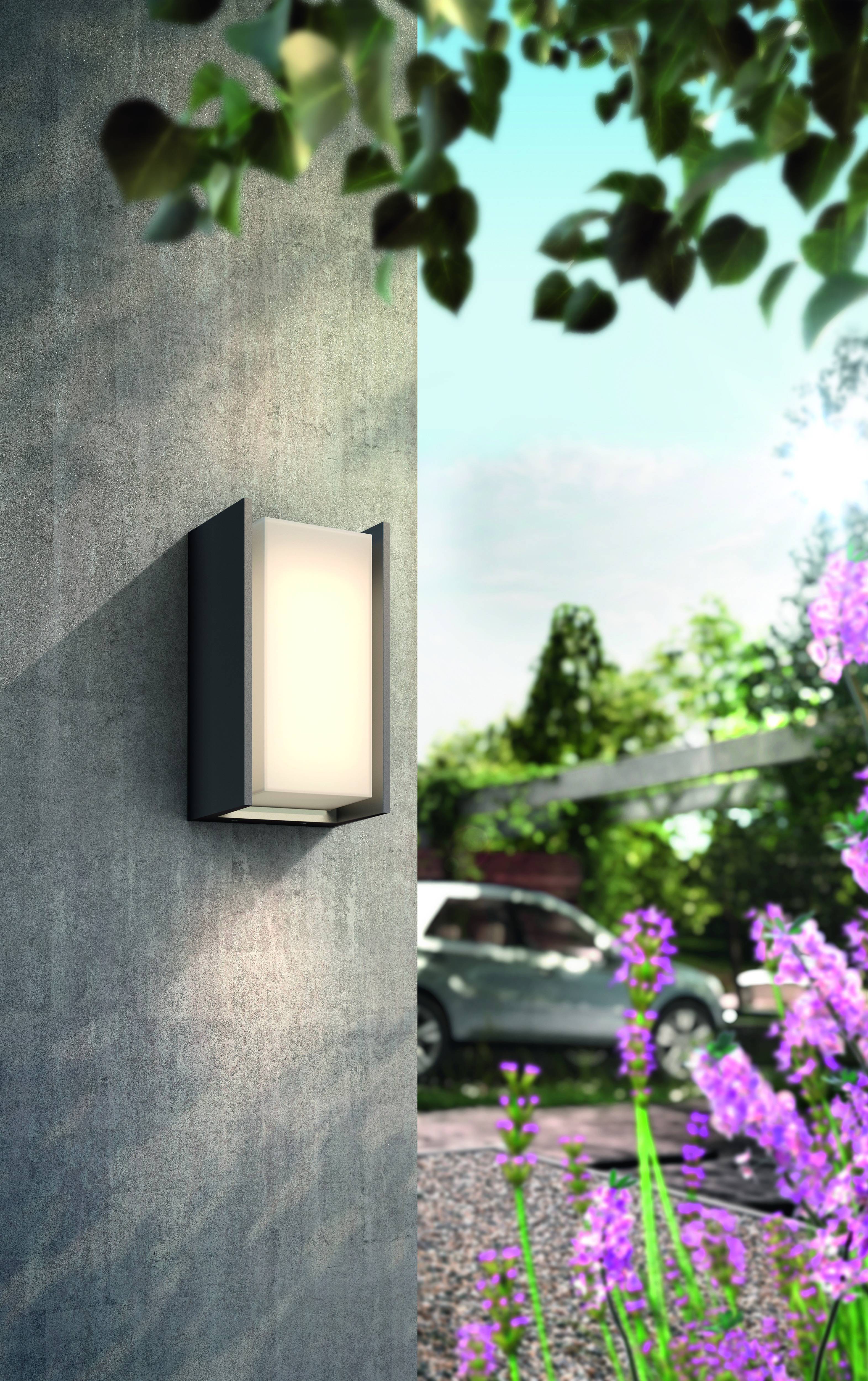 Modern outdoor light mounted on a concrete wall, illuminating during the day. Flowering plants and a car in the garden in the background.