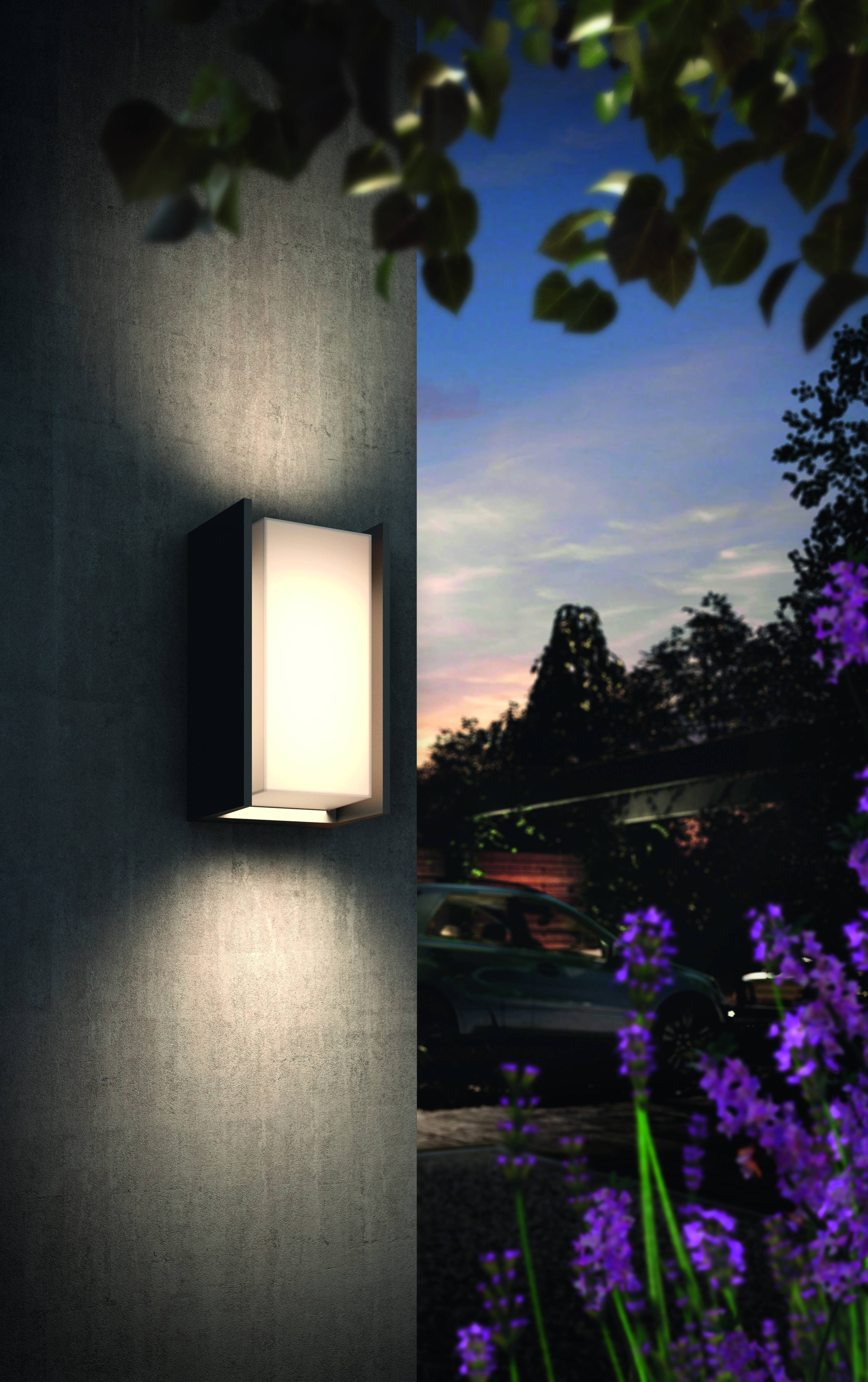 Exterior light on a wall, at dusk, surrounded by purple flowers. Softly illuminated vegetation and a car are visible in the background.