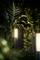 A modern garden light casts warm light and illuminates surrounding plants in a nocturnal garden setting.