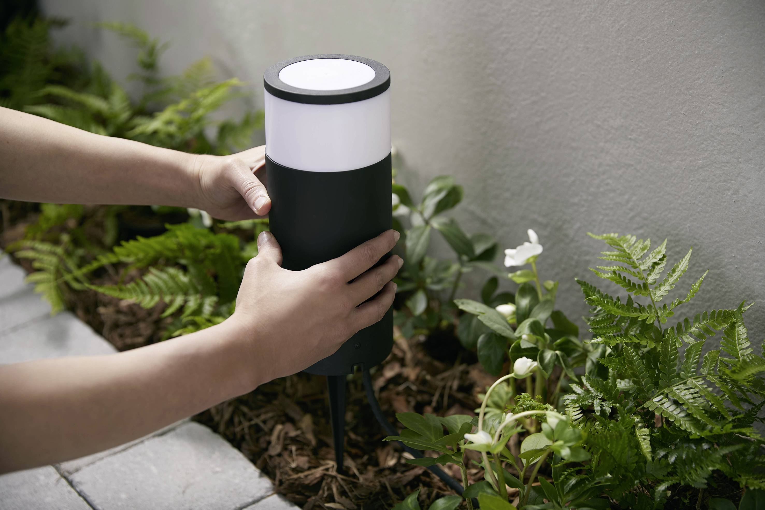 Two hands are placing a garden light in the flowerbed. The light is round and black and white. Surrounded by ferns and a white flower.
