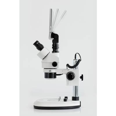 A white stereo microscope with a black eyepiece and illumination, mounted on a sturdy stand, against a neutral background.