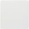 White square tile with a glossy surface.<br><br>(Note: The translation is already very close to British English and does not require significant modification.)