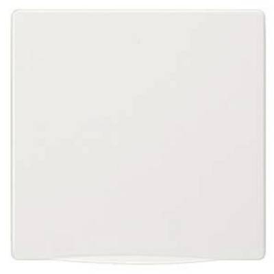 Square, bright surface, possibly an empty, white board or panel.
