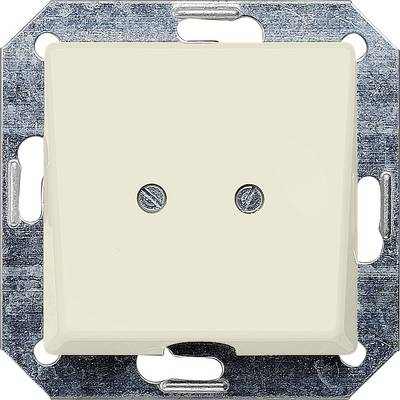 An electrical wall switch with a rectangular frame and two small openings in the centre. The switch is cream-coloured.