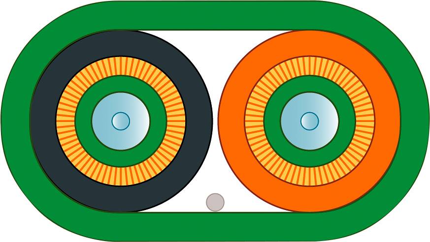 Two concentric circles, black and yellow on the left, orange and yellow on the right, surrounded by a green oval, symbolise balance.