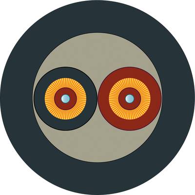 Two concentric circles, the left one orange and the right one red, on a grey background within a darker circle.