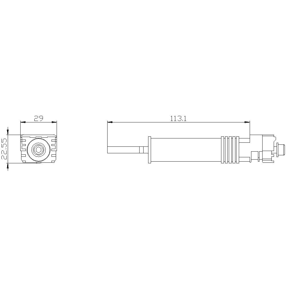 Technical Drawing of a Cylindrical Sensor with Dimensions: Length 113.1 mm, Width 29 mm, Height 22.5 mm. Side and Front View.