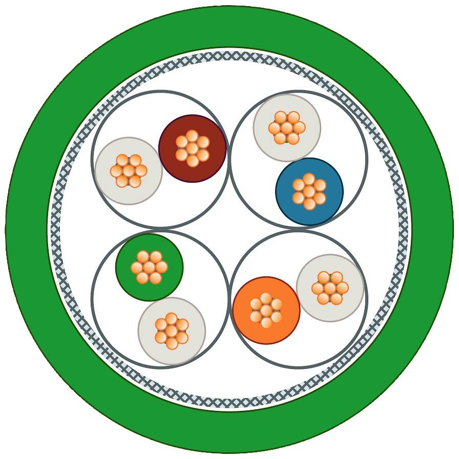 A schematic diagram shows seven cells in a circular pattern on a green background. Each cell contains six orange points.