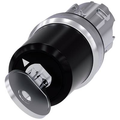 Lock cylinder with key in horizontal position. Metal housing in silver and black, suitable for locking systems.