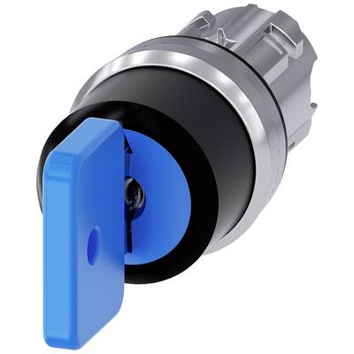 Blue key switch in a silver setting, indicating a position.