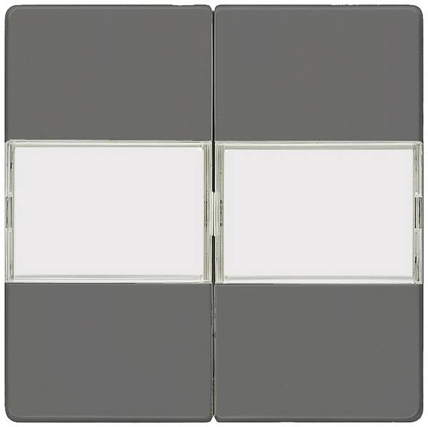Siemens Switch product range 2x Marking field Carbon 5TG6232 1 pc(s)