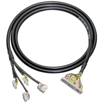 A black cable with multiple colourful wires and four plug connections at the end demonstrates the diversity of connections.