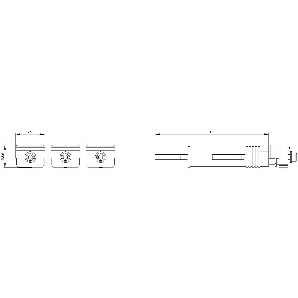 Technical drawing of a cylindrical component with dimensional specifications. Left side shows three cross-sectional views, right side displays side view with length measurement of 113.1 mm.