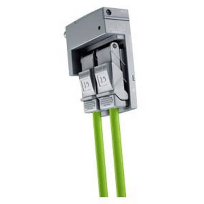 'Double protective switch with green cables, mounted on a wall.'