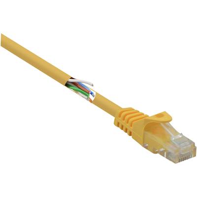 Basetech BT-1717472 RJ45 Network cable, patch cable CAT 5e U/UTP 25.00 cm Yellow incl. detent 1 pc(s)
