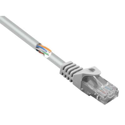 A grey Ethernet cable with a transparent RJ45 connector, partially stripped, reveals coloured wires inside.