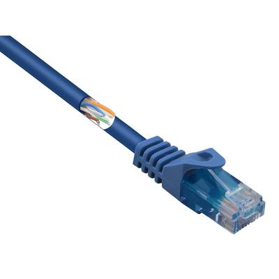 Blue Ethernet cable with an RJ45 plug, isolated on a white background. Used for networking electronic devices.