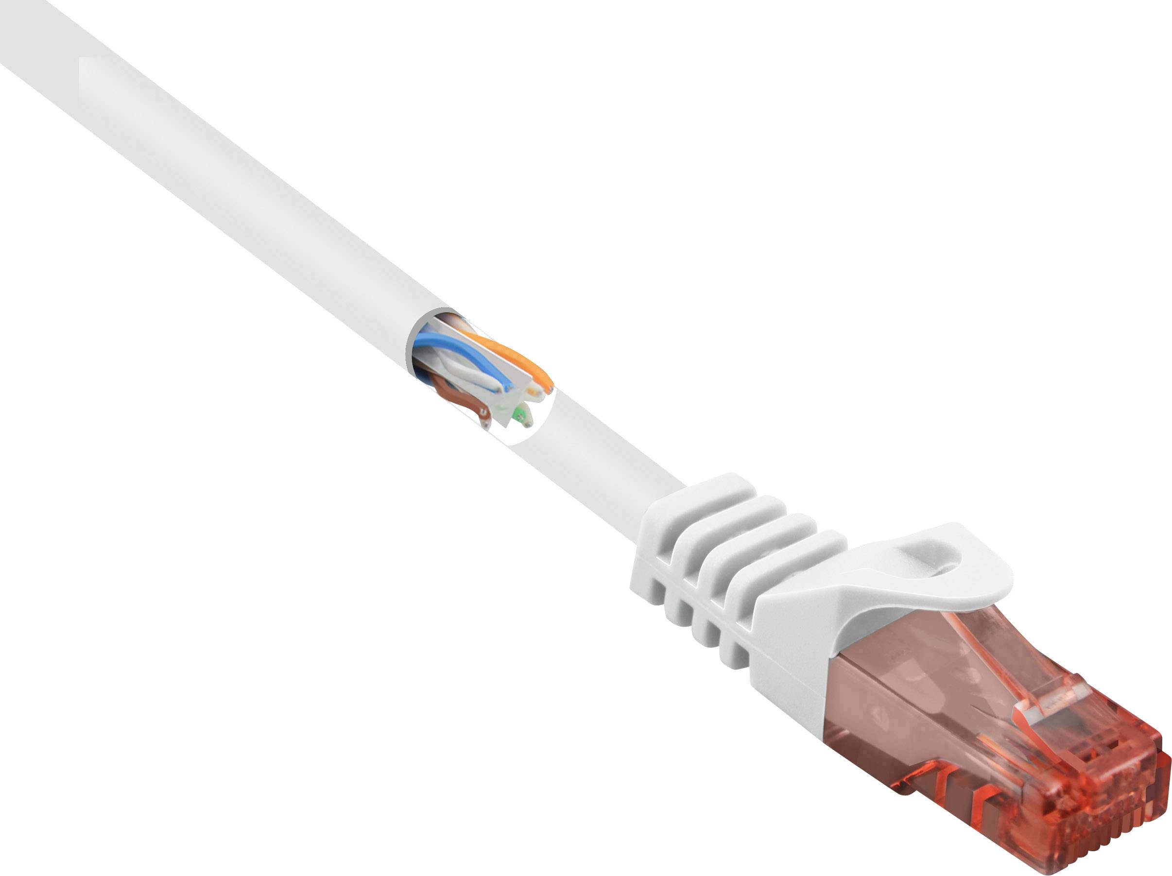 Network cable with a transparent red RJ45 plug and visible conductors, symbolising an internet connection.