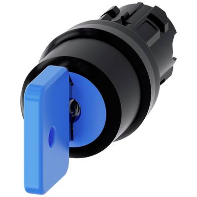 A blue, round key is inserted in a black, cylindrical switch housing. The key is slightly turned.