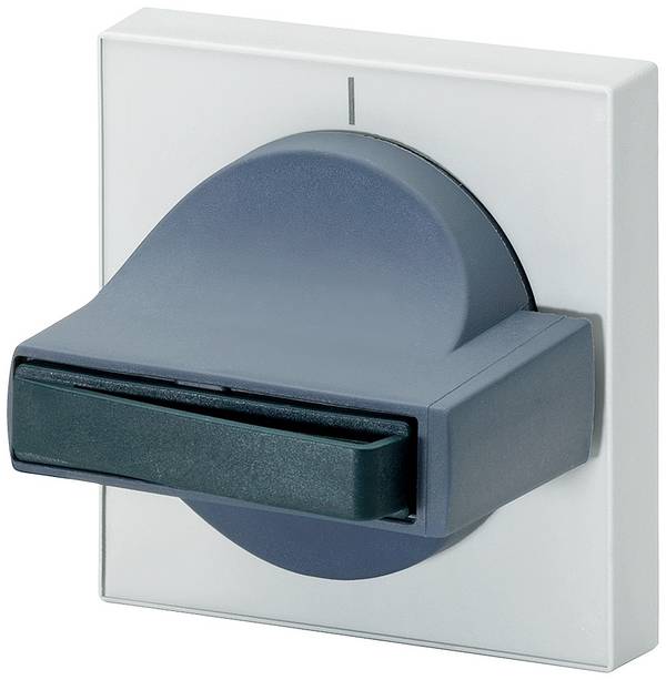 Siemens 8UC7110-6BD 8UC71106BD Handle    Grey, Light grey 1 pc(s) Piece