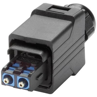 A black fibre optic plug with two blue connectors, used for data transmission in networks.