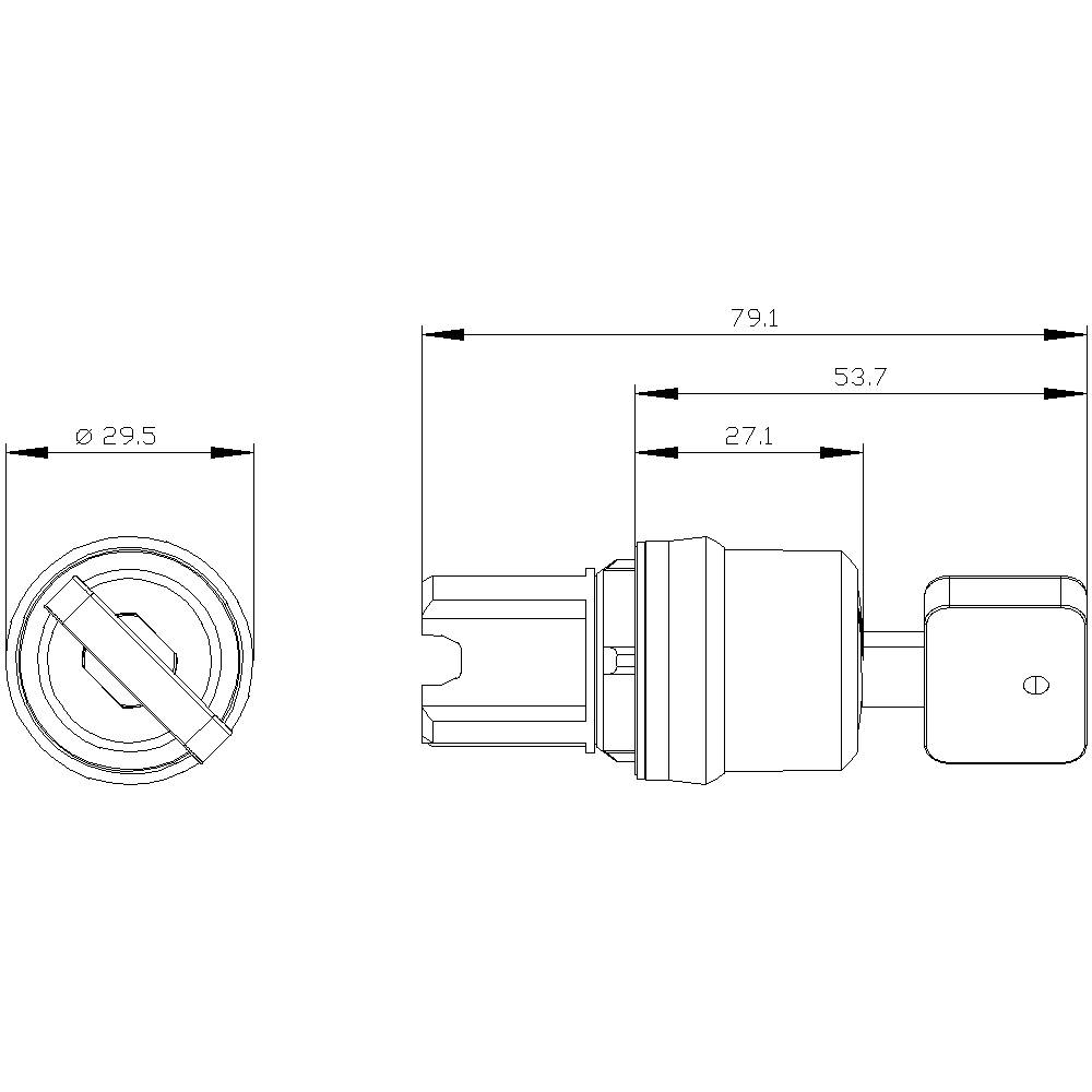 Technical drawing of a cylindrical lock with dimensions: Total length 79.1 mm, diameter 29.5 mm. Side and front view.