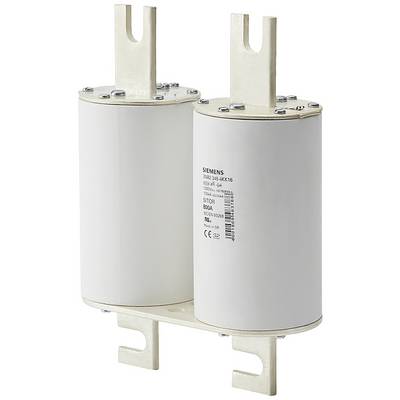 Two cylindrical white fuses with metal connections, mounted vertically. Text on the fuses: 'Siemens'.