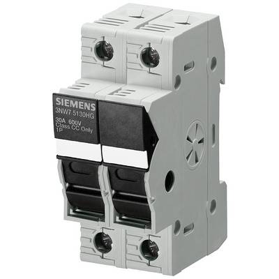 Two-pole grey protective circuit breaker, labelled '30A 600V Class CC Only', for use in electrical distribution boards.