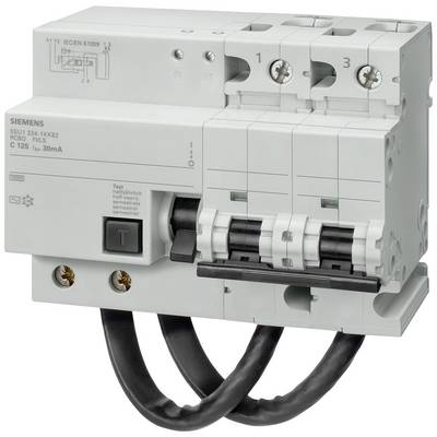 Illustrated is a Siemens circuit breaker with two circuits and a test button.