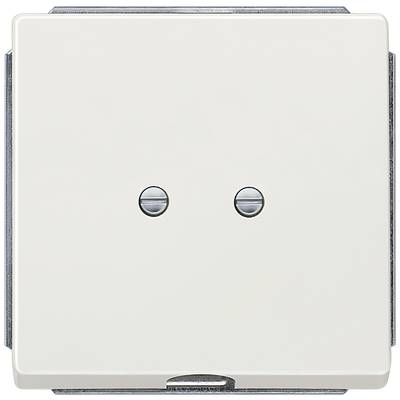 White light switch in a square shape with two mounting screws.