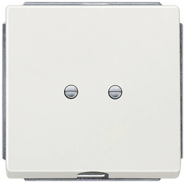 Siemens Switch product range Cover DELTA style Platinum 5TG13351 1 pc(s)
