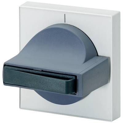 A grey rotary switch on a white plate, positioned in a neutral central position.